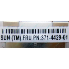 Серверная память SUN (FRU PN 371-4429-01) 4096Mb (4Gb) DDR3 ECC в Видное, память для сервера SUN FRU P/N 371-4429-01 (Видное)