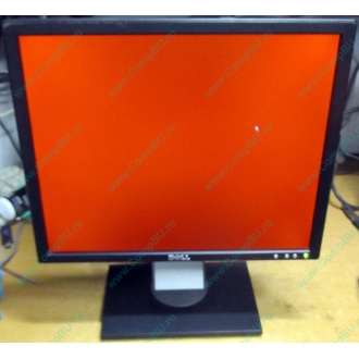 Dell E197F P в Видное, монитор 19" TFT Dell E197FPb (Видное)