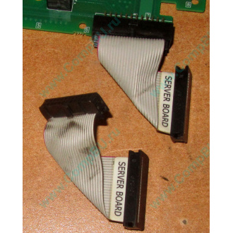 6017B0045701 Шлейф 24 pin для Intel C74974-401 T0043401-B01 корпуса SR2400 (Видное)